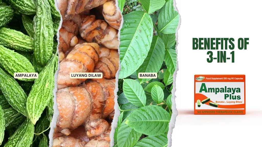 Ambalaya Plus 550mg 90 Capsules - Verpakking van 1 - met Banaba, Turmeric Ginger en Bitter Melon door Ambalaya Plus - Halal Herbal Supplements