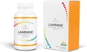 LAMININE: Cellular Support for Wellness, Cognitive Function & Vitality - Stamcelverjonging, Stress Relief & Joint Discomfort Reduction (120 Tel.)