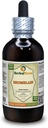 Bromelaïne (Ananas Comosus) Tinctuur, gedroogd poeder Liquid Extract (Grote naam: HerbalTerra, Trots gemaakt in USA) 4 fl.oz (120 ml)