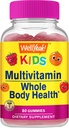 WellYeah Kids Multivitamine Gummy's 