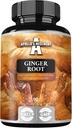 APOLLO'S HEGEMONY Ginger Root 500 mg, Extract Bevat 5% Gingerols, 90 Vegan Capsules, 3 maanden levering, Gember kruidensupplementen voor spijsvertering Comfort en Immuun Ondersteuning