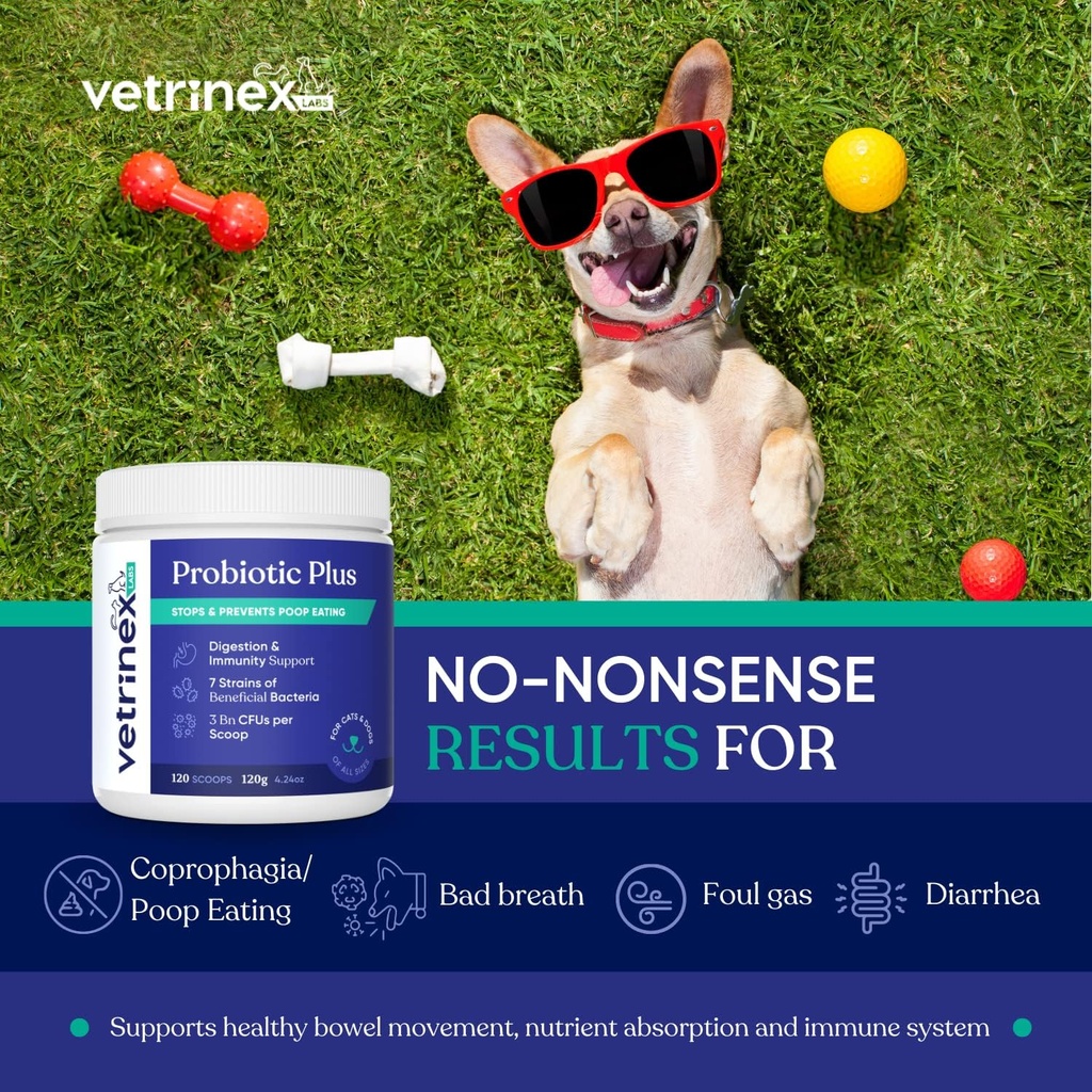 Coprophagia Poop Eten Deterrent & Prevention, Stop & Prevention Stool Eating Treatment - Probiotica voor honden, katten en puppies - Verboden hond van het eten van poep - Probiotisch poeder (120 GMS)