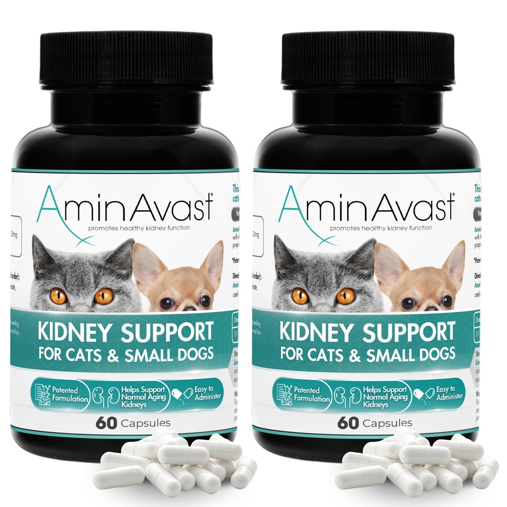 AminAvast Nierondersteuning Supplement voor katten en kleine honden, 300mg 2-pack - bevordert natuurlijke nierfunctie - Aids in Health and Vitality of Aging Nieren - Gemakkelijk toegediend - 60 Sprinkle Capsules