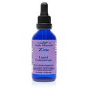 Eidon Ionische Mineralen Liquid Zink Concentraat - Ionische Zink Supplement Drops voor volwassenen en kinderen, ondersteuning immuunsysteem, haar en huid, lever en nier gezondheid, Verlicht stress - 2 oz