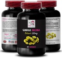 Ginkgo biloba Supplement - Ginkgo BILOBA Extract - Natuurlijke antioxidant Extract, Plantaardige antioxidant Ondersteuning, Ginkgo biloba Voordelen, Botanical Extract Supplement, Plant-Based antioxidant 1Bot 60Caps