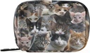 Ras katten pil Box 7 dagen pil geval reis pil Organisator tas met rits pil houder draagbare wekelijkse geval Compacte grootte voor vitamine supplement
