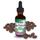 Nature's Antwoord Zag Palmetto Berry Extract Kruidensupplement met biologische alcohol, 1-fluid Ounce 