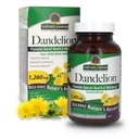 Nature's Antwoord Dandelion Root Vegetarian Capsules, 90-Count