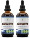 Geheimen van de Tribe Hydrangea Tinctuur Alcoholvrije Liquid Extract, Hydrangea (Hydrangea arborescens) Gedroogde Wortel (2x4 FL OZ)