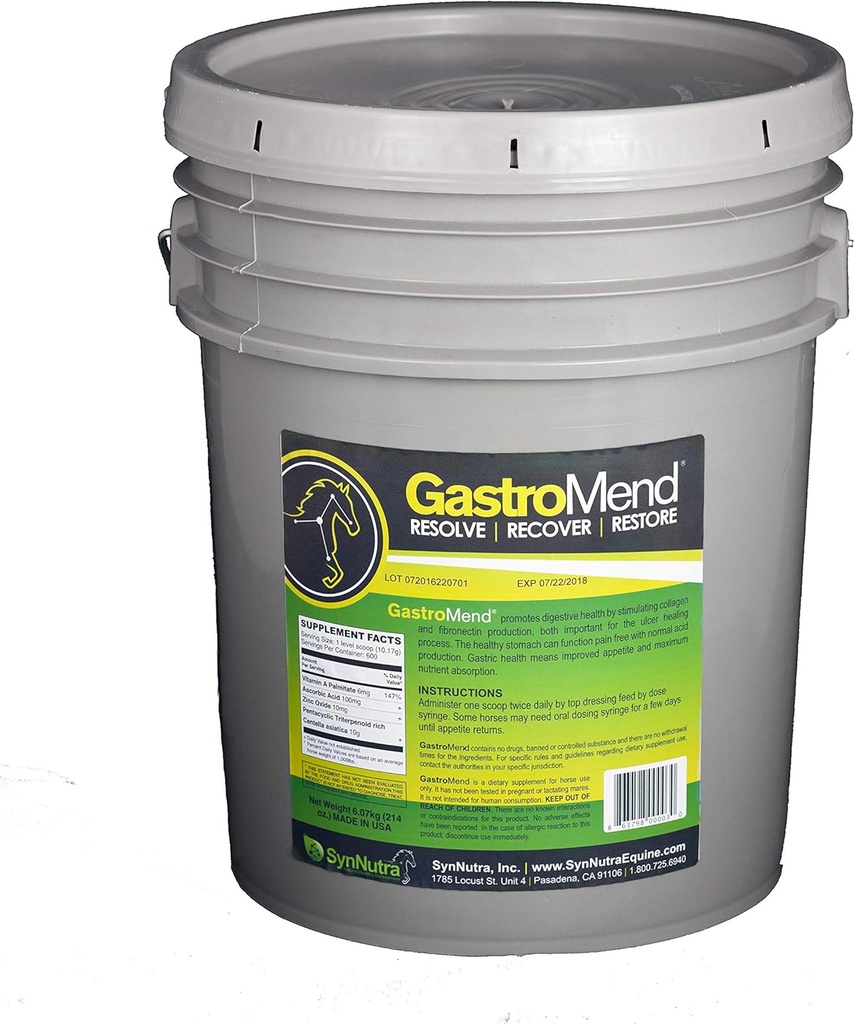 SynNutra GastroMend (GastroMend - 600 dosisemmer) 100% natuurlijk