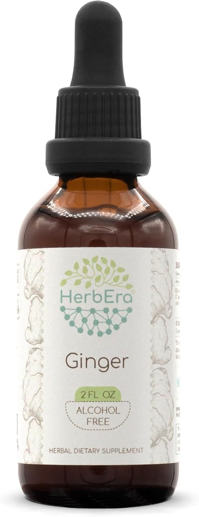 HerbEra Ginger B60 Alcoholvrije kruidenextract Tinctuur, supergeconcentreerde gember (Zingiber officinale) 2 fl oz