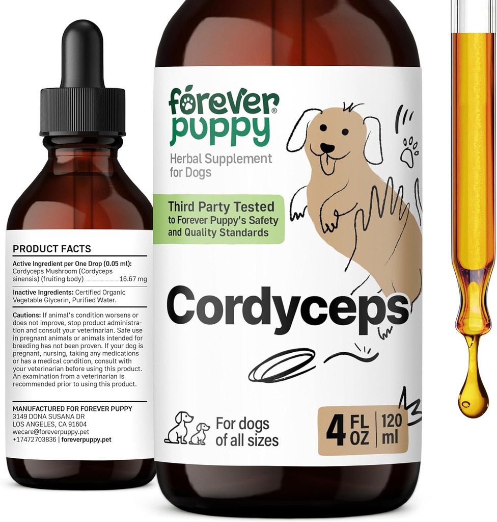 Forever Puppy Cordyceps Mushroom Extract voor honden - vloeibare energie Ondersteuning Supplement w / Cordyceps Sinensis voor nierreiniging - paddo druppels voor honden hond niergezondheid ondersteuning - 4 oz