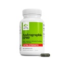 Terry Naturally Andrographis EP80 Extra sterkte - Hersengezondheid & Immune Support - Joint Health Supplement to Aid Mobility - Vegan Adaptogen Supplement for Energy & Liver Support - 60 capsules