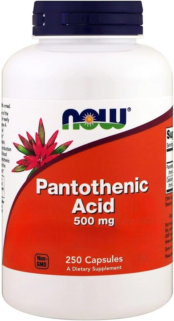 Nu Foods, Pantothenic Acid, 500 mg, 250 Capsules
