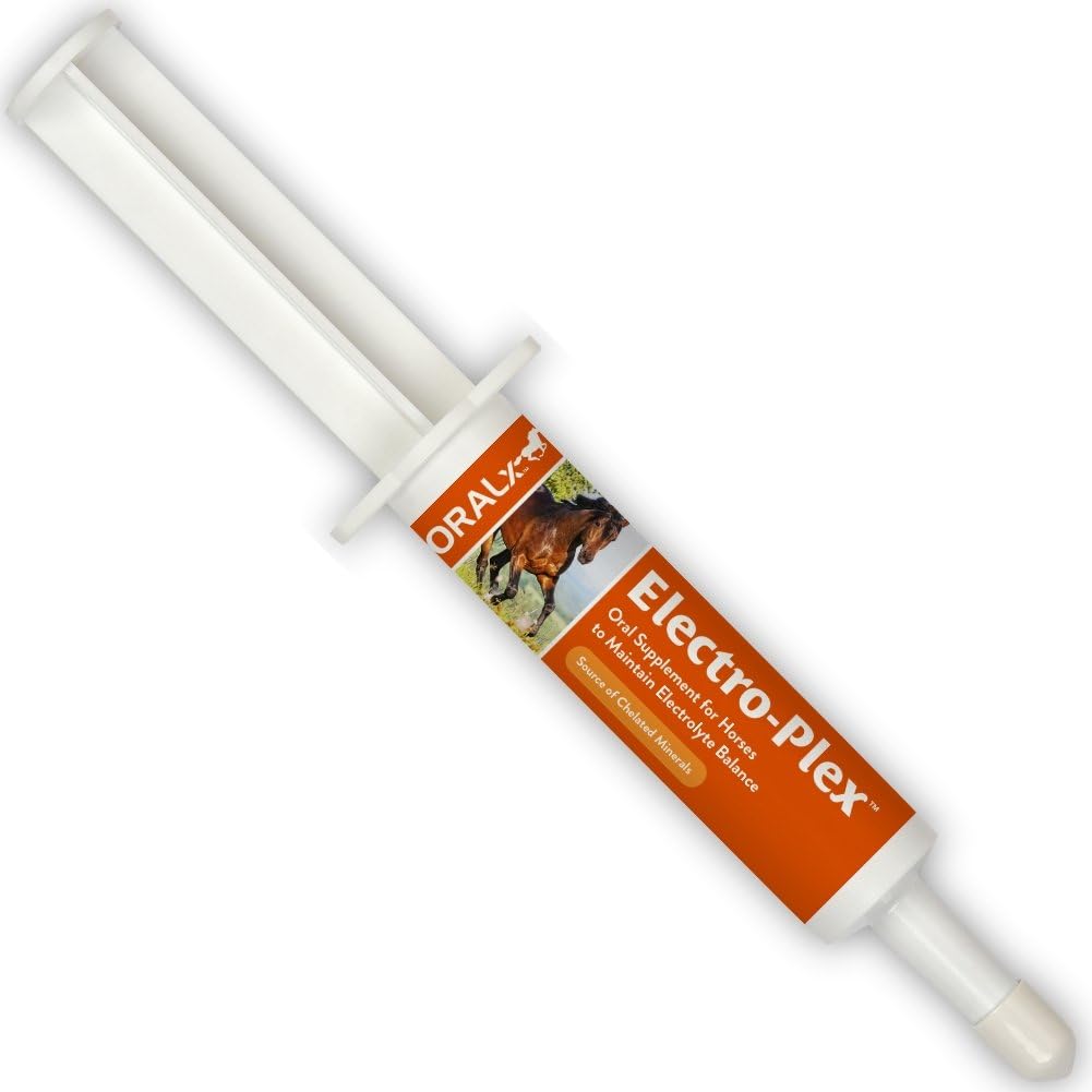Daong Electro-Plex Electrolyte Plakken voor paarden. Replenishes Electrolytes & Nutriënten. Stimuleert waterverbruik. Easy-Dose spuit. 1,2 Oz.