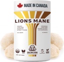 Leeuwen Mane supplement poeder Ultra sterkte 10:1 biologische Leeuwen Mane paddo ondersteunend geheugen, cognitie, hersenen gezondheid, 8 Ounces / 226 porties