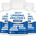 Urolithin A Supplement 1600mg Promote Muscle Strength and Energy Production, TMG for Healthy Homocysteine Levels and Nicotinamide riboside NAD+ Boost for Longevity - 60 Softgels (3 Bottles)