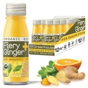 Greenhouse sap biologische vurige gember Wellness Shots 12-Count 60ml glazen flessen, veganistisch en glutenvrij