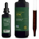 Global Healing USDA Organic Zink Supplements Liquid - Pure Vitamin Drops for Immune System Boost, Hormone Balance, and Healthy Aging - Natural, Vegan-Friendly, Non-GMO, Organic Zink Vitamins (2 Fl Oz)