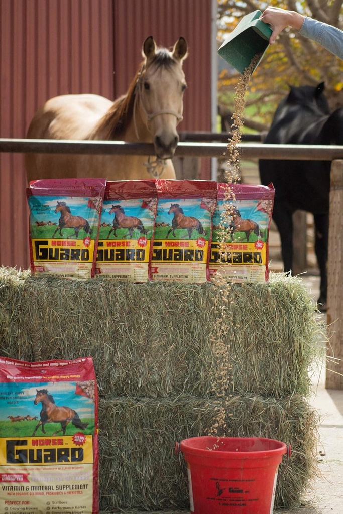 Horse Guard 4.6 lb, Equine Vitamine Mineral Supplement met biologisch Selenium & Vitamine E