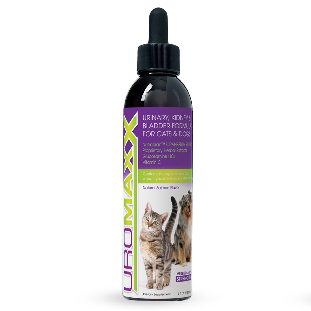 Cat & Hond urinary Tract Treatment, Bladder & Nieren Ondersteuning voor honden en katten, krachtige maar zacht huisdier verzorging, met vloeibare Cranberry & Glucosamine, zalm smaak, 6 oz fles, 1 verpakking