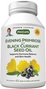ANDREW LESSMAN Avondprimrose en Black Currant Seed Oil 60 Softgels - Verzacht fysieke problemen en Mood Swings als gevolg van menstruele cyclus, met Gamma-Linolenic, Omega-6 vetzuren, Geen additieven