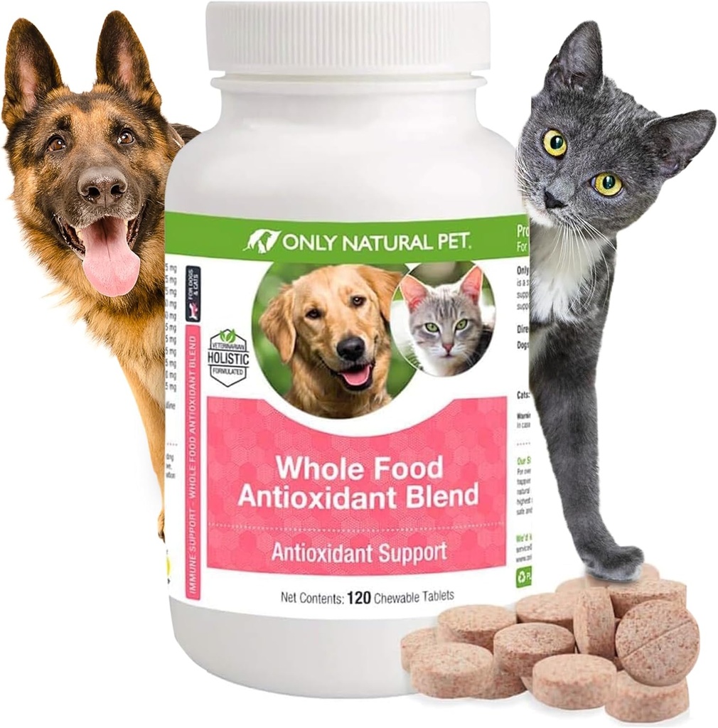 Alleen Natural Pet Whole Food Antioxidant Green Thee en Berry Antioxidant Vitamine Supplement Blend voor honden, ter ondersteuning van een gezond immuunsysteem, Vecht gratis radicale schade - 60 zachte kauwen