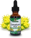 De natuur Antwoord Lomatium Root Extract Lomatium Dissectum - Natuurlijke kruidensupplement - Gluten Alcoholvrij - Ideaal voor Immuniteit Overall Health Welzijn 