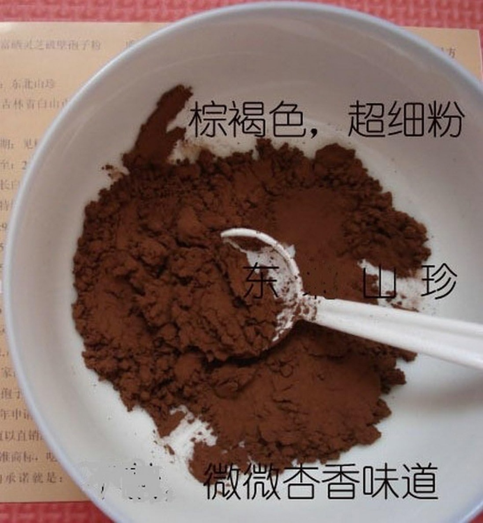 Duan-Wood 98% Shell-Broken LINGZHI Ganoderma Reishi Spore Powder 100Grams (3,5 oz.) Vacuümpakket