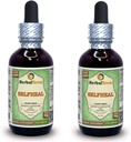 Selfheal (Prunella Vulgaris) Glycerite, biologisch gedroogd kruidenalcohol-FREE Liquid Extract (Grote naam: HerbalTerra, trots gemaakt in USA) 2x2 fl.oz (2x60 ml)