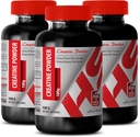 Body Builder voor mannen - CREATINE Poeder 100G - Creatine Bulk - 3 Fles (Powder)