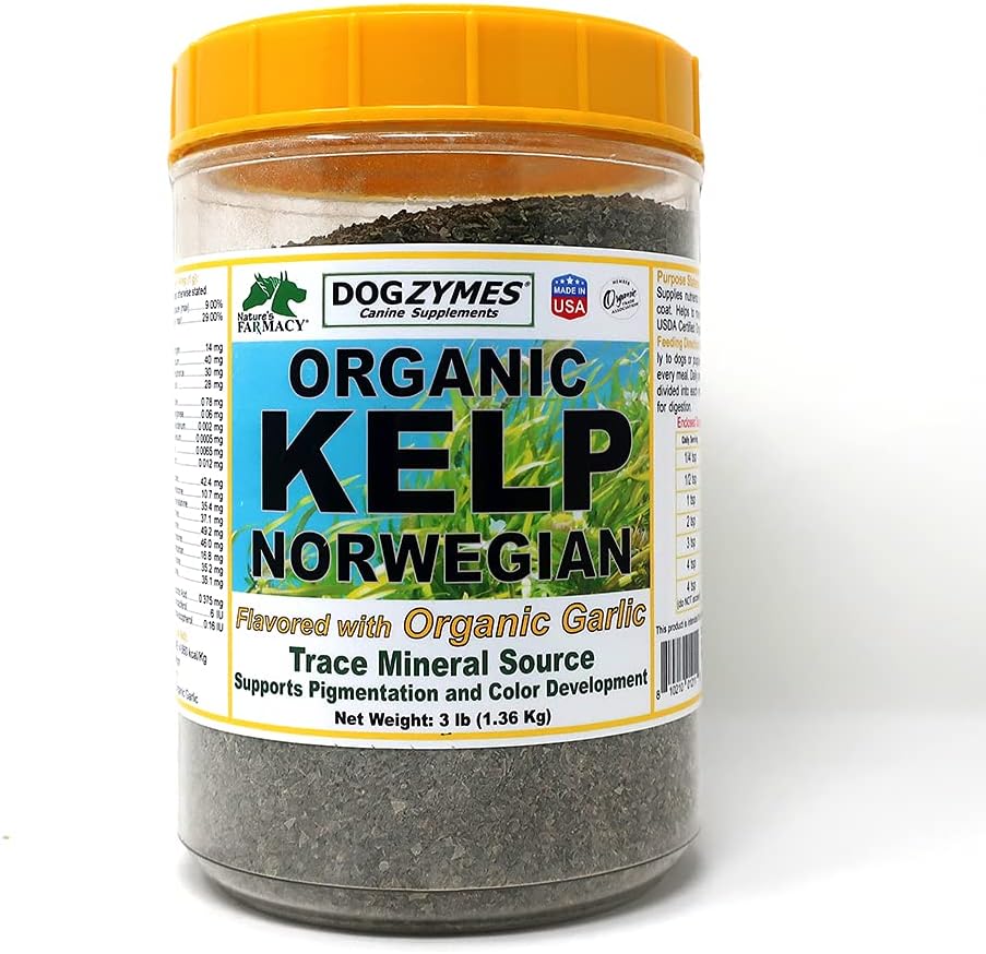 Hondzymen Biologische Noorse Kelp Verbeterd met Knoflook (3 pond)