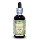 Ashwagandha (Metania Somnifera) Glyceriet, biologisch gedroogde wortel Alcoholvrije vloeistof Extract 2 oz