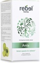 Rebel Herbs Amla Capsules (Amalaki) - Immune Support, Veganistisch, Glutenvrij, Ayurvedisch, Antioxidant, Gecertificeerde Biologische Amla