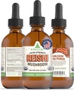 RawGuru Organic Reishi Mushroom Tinctuur - Reishi Mushroom Extract met natuurlijke sporen mineralen - Nano-Processed Cognitive & Immune Support Supplement - 60 porties Vegan Drops per 60 ml, Pack of 1