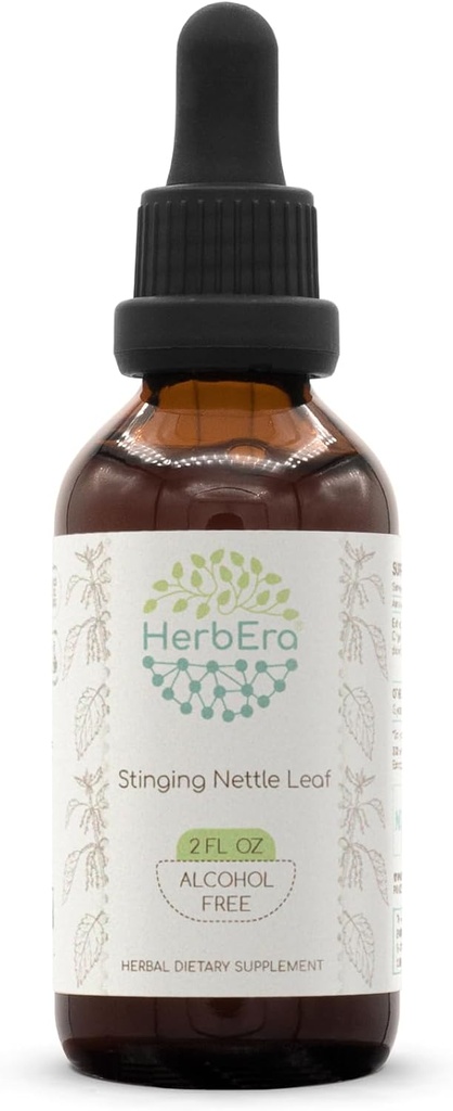 Brandnetelblad B60 Alcoholvrij kruidenextract Tinctuur, geconcentreerde vloeibare druppels Natuurlijke brandnetel (Urtica Dioica) gedroogd blad (2 fl oz)