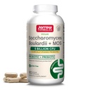 Jarrow Formulas Saccharomyces Boulardii + MOS Probiotica voor Digestieve Gezondheid en Intestinale Tract Ondersteuning - 5 miljard CFU per portie - 90 Vertraagde Release Caps - Probiotic + Prebiotic - 90 porties