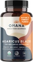 Aloha Medicinals Pure Agaricus Blazei 500 mg 90 Vegetarische Capsules Gecertificeerd Biologisch