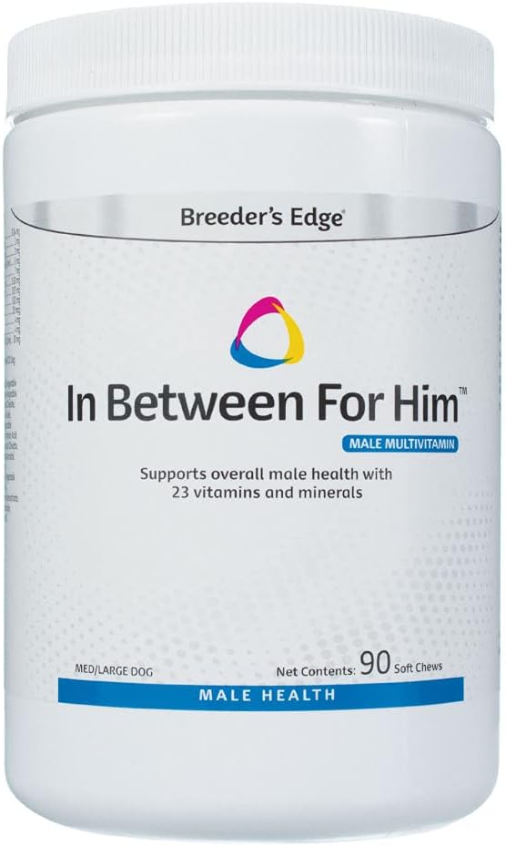 Foedersrand in tussentijd voor hem supplement voor mannelijke honden en katten, dagelijkse multivitamine ondersteunende energie en reproductieve gezondheid, met essentiële vitaminen en mineralen, 90 tellen voor middelgrote en grote honden