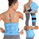 REVIX Gel Ice Pack for Back Discomfort Relief, Soft Plush Lining Ice Wrap for Lower Back, Schouders, Hip, Arm, Knie, Cold Compress Therapy, 16 × 9 "