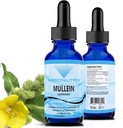 Absonutrix Mullein 300 mg, 4 Oz Liquid, 300 porties, Made in USA, Quick Absorptie, Quality Potent Ingredients, Non-GMO, GMP Certified Facility, Cruelty-Free Products