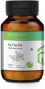 Sheltr Alfalfa tabletten, Medicago Sativa, Alle natuurlijke, pure kruiden 500mg x 120 tabletten