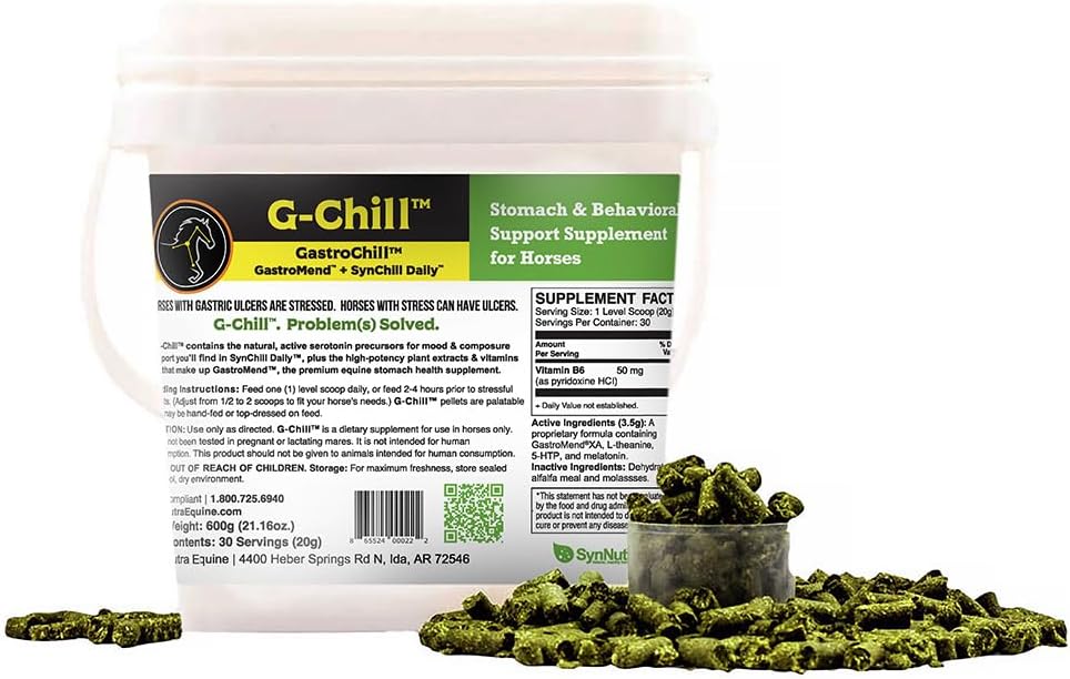 G-Chill All-Chill Natural Digestive Health Support for Horses - 30 porties - Promoot Maag & Hindgut Gezondheid, Aids in Gastric Ulcer Relief, verbetert Collageen & Fibronectine Productie voor weefsel reparatie
