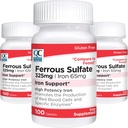 Quality Choice Iron 65 mg (325 mg Ferrous Sulfate) High Potency Iron Support Supplement Tablets in 100 Telflesjes (3 Verpakking)