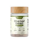 Snap Supplementen Olive Leaf Extract Capsules - Super sterkte 40% Oleuropein voor Blood Flow Ondersteuning, Verbeter de spijsvertering, Antioxidant Boost Supplement, Verbeter de hersenfunctie (60 capsules)