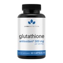 Luma Nutrition Premium Glutathion Supplement - 500mg - L-Glutathione - Antioxidant Ondersteuning - Verminderd - Lever Ondersteuning - 60 Capsules