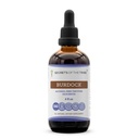 Geheimen van de stam Burdock Tinctuur Alcoholvrije Liquid Extract, Burdock (Arctium Lappa) Gedroogde Wortel 4 FL OZ