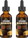 Berberine Supplement met Ceylon Cinnamon 3000mg - Hoge biologische beschikbaarheid Liposomal Berberine Liquid Drops, Berberine HCL Complex Plus Turmeric Supplements, AMPK Activator, Geschikt voor vrouwen,Men-120ml