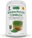 ANDREW LESSMAN Green Foods Complex 600 Serves - Levert bouwstenen voor gezonde weefselgroei, leverondersteuning. 100 mg Elk van gerstgras, tarwegras, blauwe groene algen, Chlorella, Spirulina