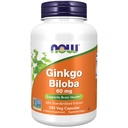 NOW Foods Supplements, Ginkgo Biloba 60 mg, 24% Standardized Extract, Non-GMO Project Geverifieerd, 240 Veg Capsules